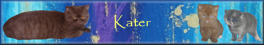 Kater