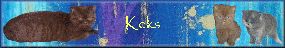 Keks