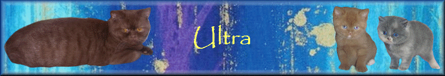 Ultra