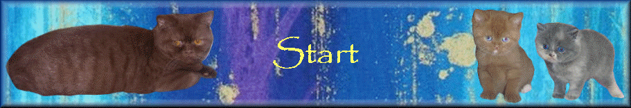 Start