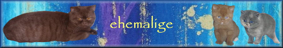 ehemalige