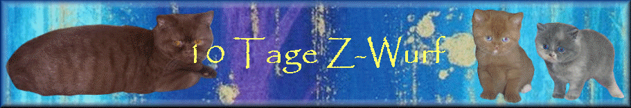 10 Tage Z-Wurf