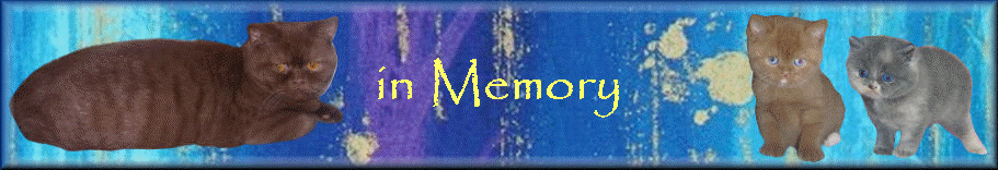 in Memory