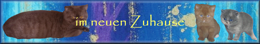 im neuen Zuhause