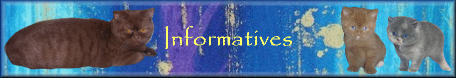Informatives