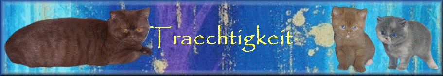Traechtigkeit